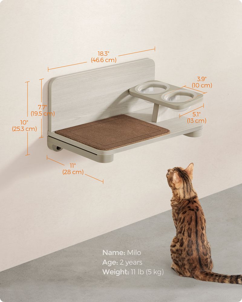 Cat wall feeding clearance station