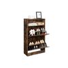 Shoe Cabinet with 2 Flaps