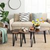 Set of 3 Nesting Coffee Table