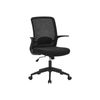 Black Office Chair with Armrest and Lumbar Support