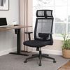 Desk Mesh Chair