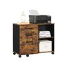 Brown File Cabinet with Storage Compartment