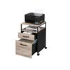 Mobile Office File Cabinet