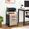 Mobile Office File Cabinet