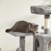 Grey Cat Condo with Hammock & Pompoms