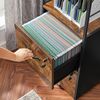 Filing Cabinet with 2 Drawers