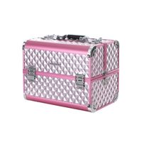 Silver Pink Cosmetic Case