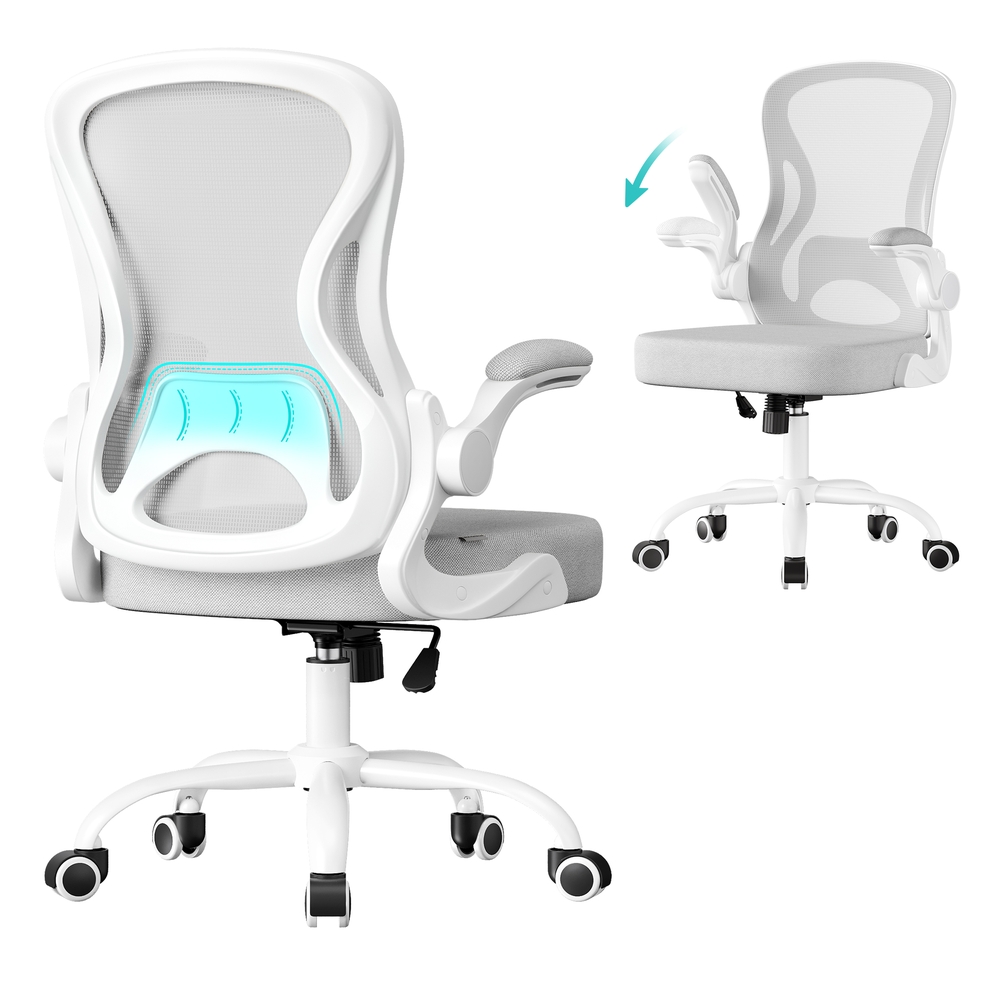 Ergonomic Office Chair