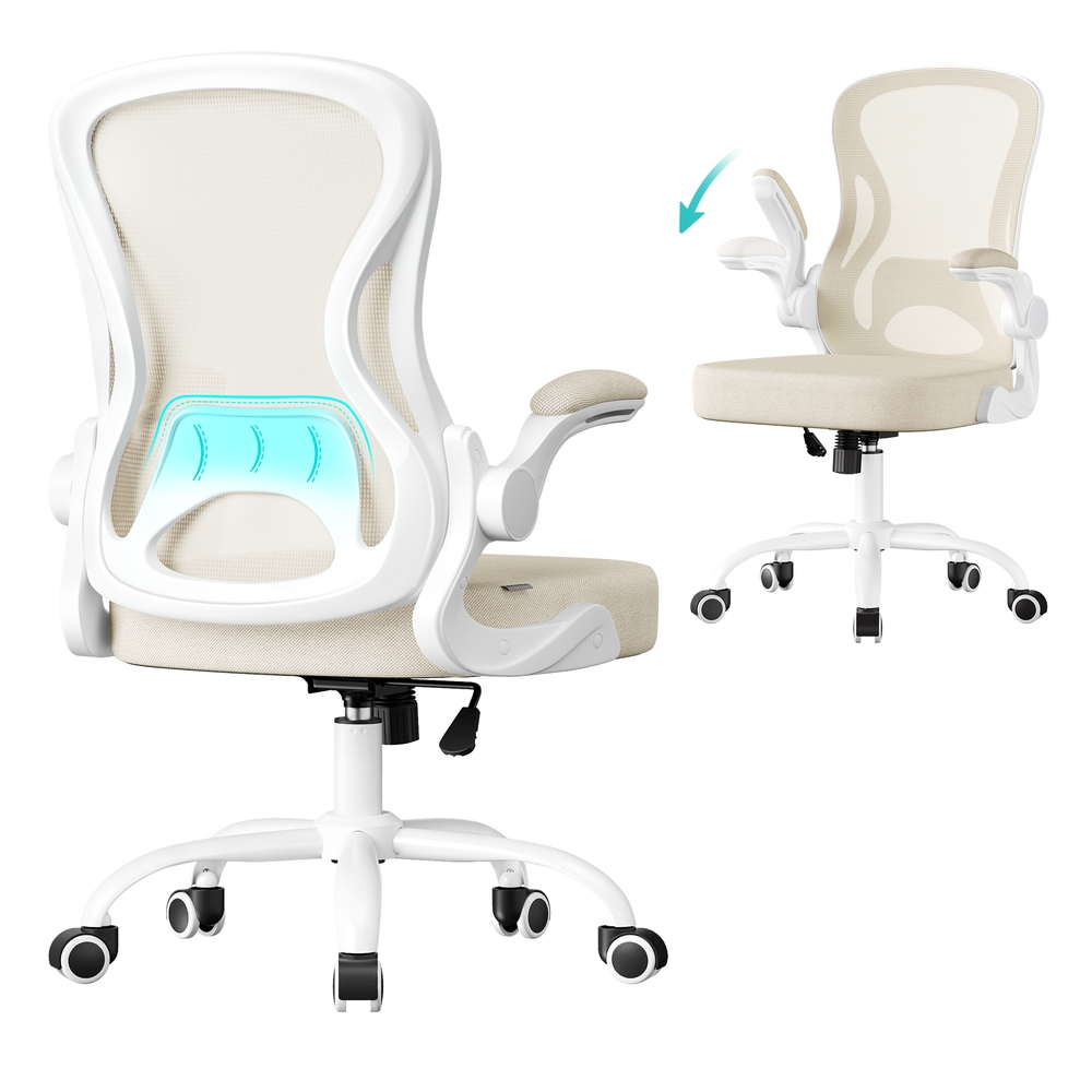 Ergonomic Office Chair