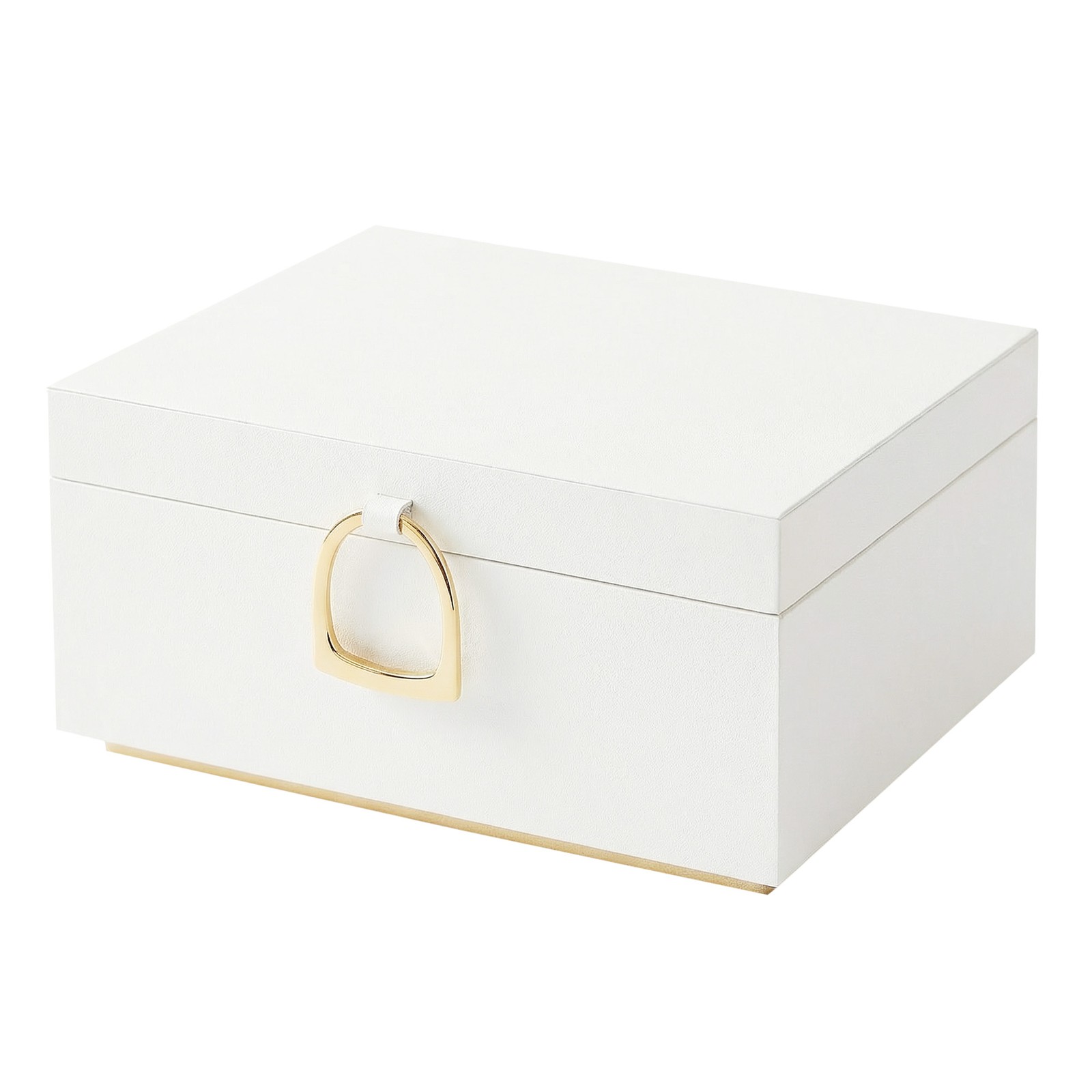 2-Layer Jewelry Box, Jewelry Storage Organizer with Handle, Removable Jewelry Tray