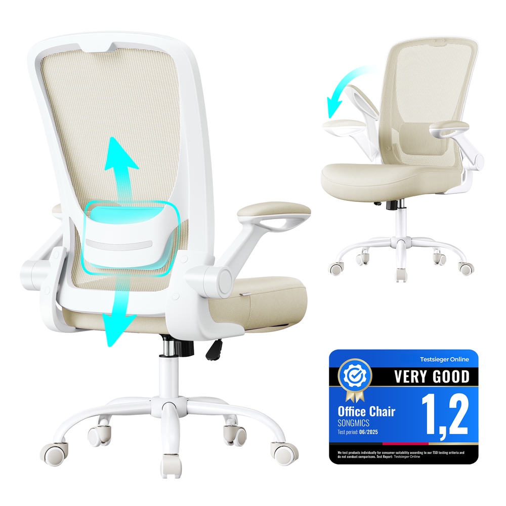 Ergonomic Office Chair with Mesh Back