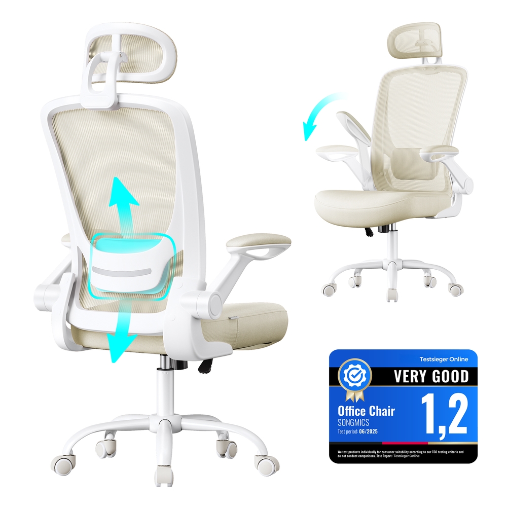 Ergonomic Office Chair with Mesh Back