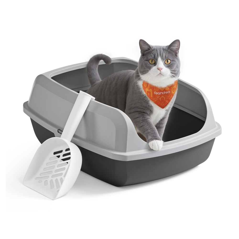 High sided open litter box with scoop for large cats and kittens