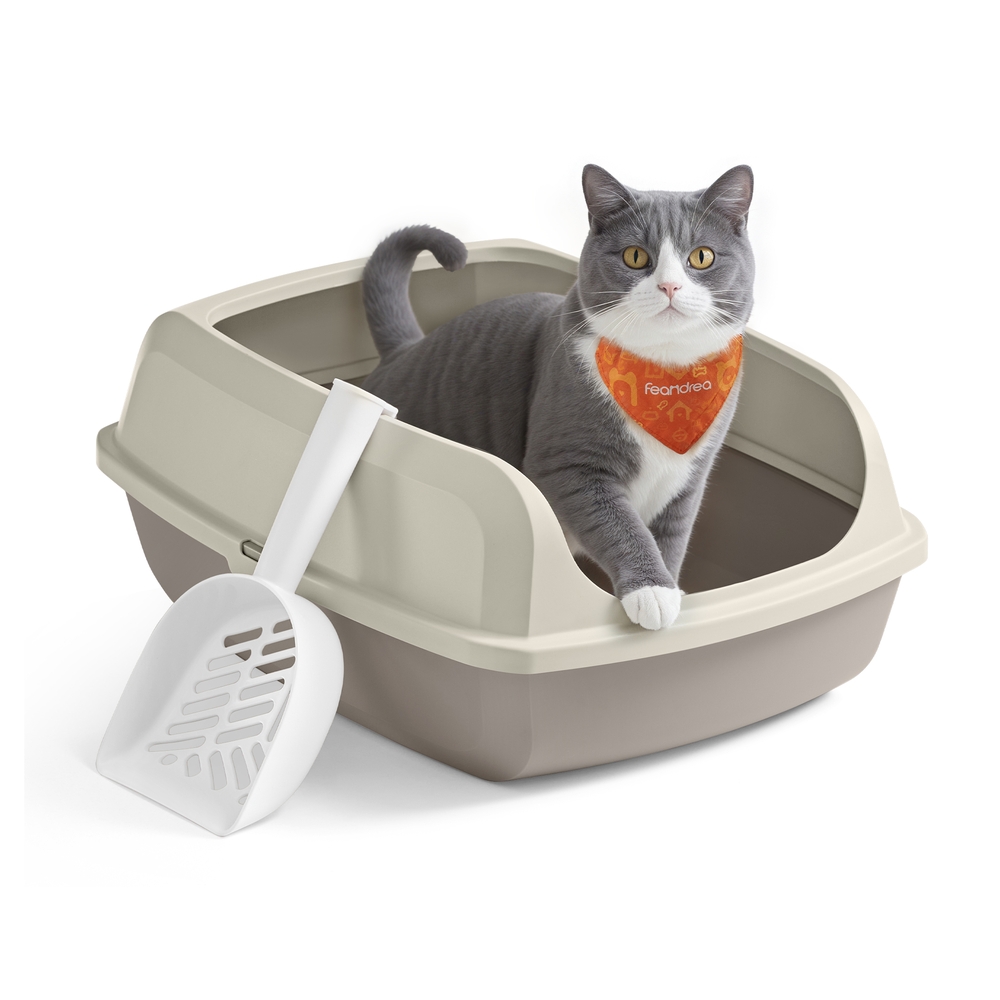 High sided open litter box with scoop for large cats and kittens