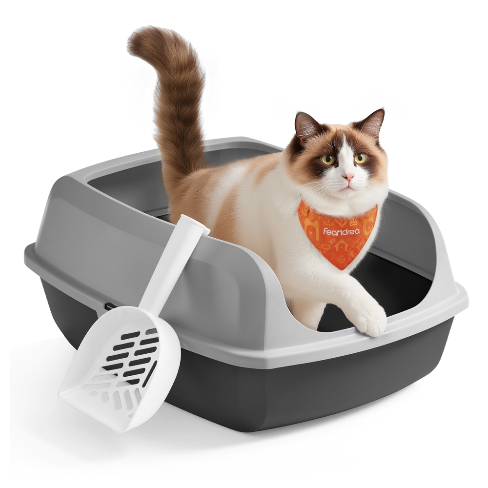 High sided open litter box with scoop for large cats and kittens
