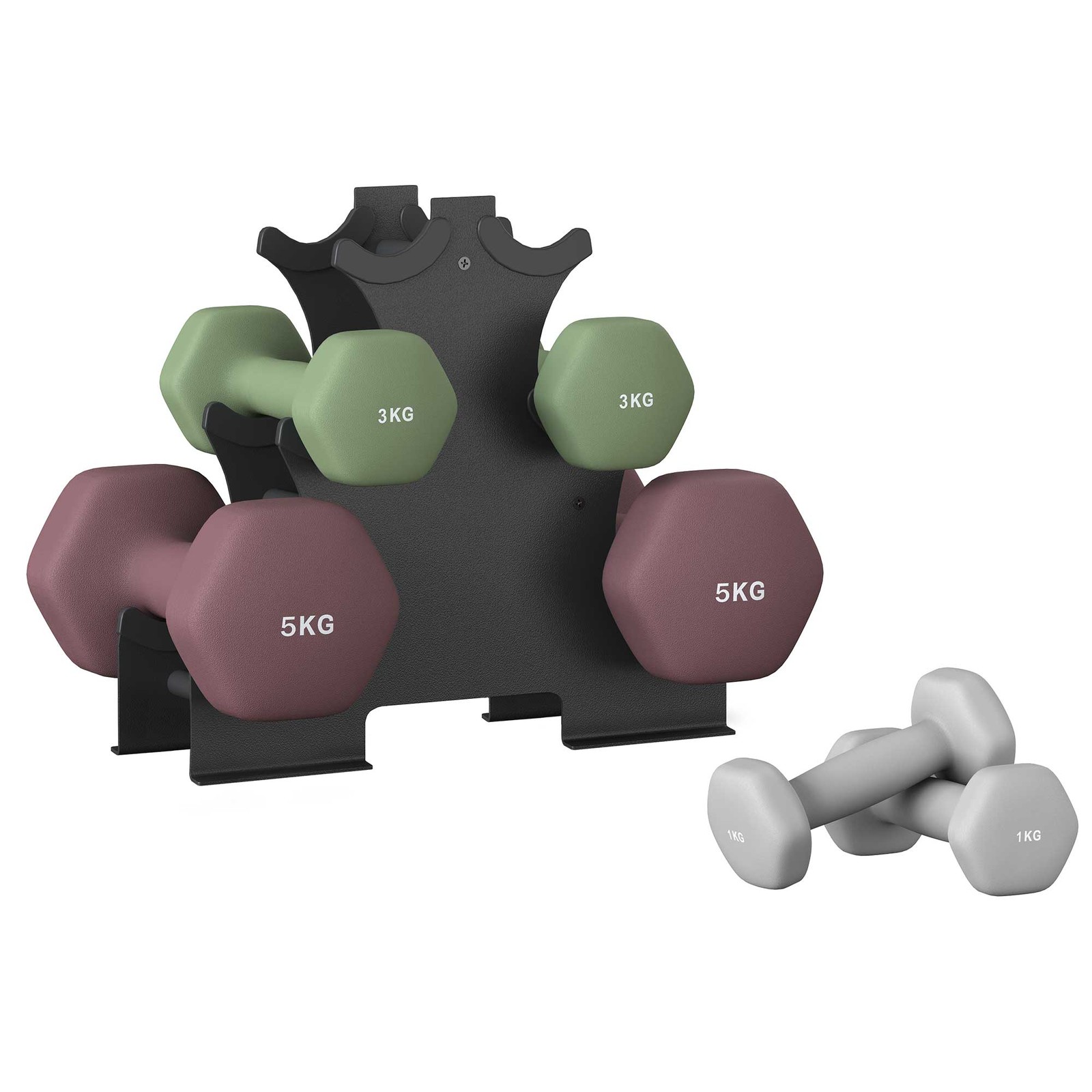 Hex Dumbbells Set with Stand – 2 x 1 kg, 2 x 3 kg