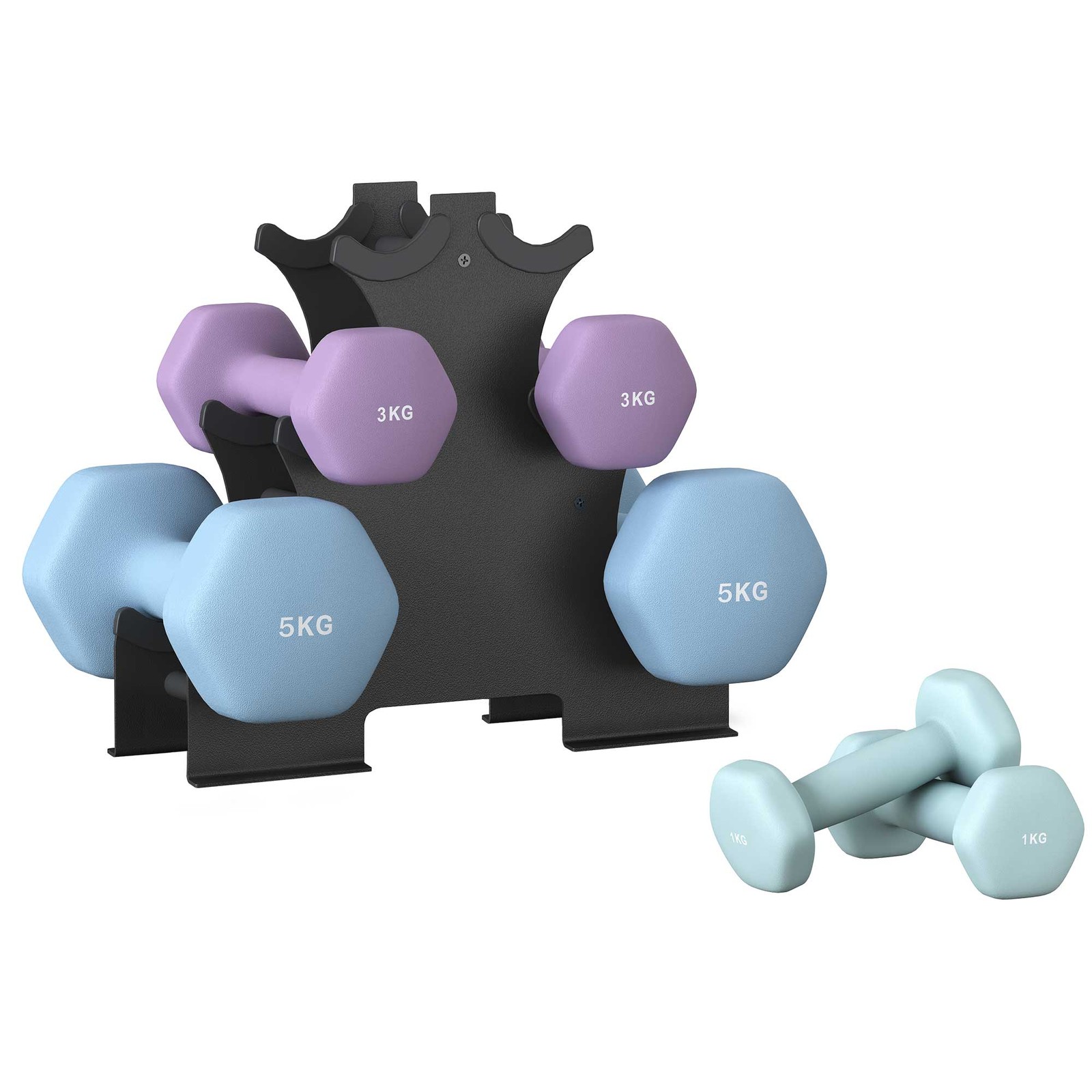 Hex Dumbbells Set with Stand – 2 x 1 kg, 2 x 3 kg