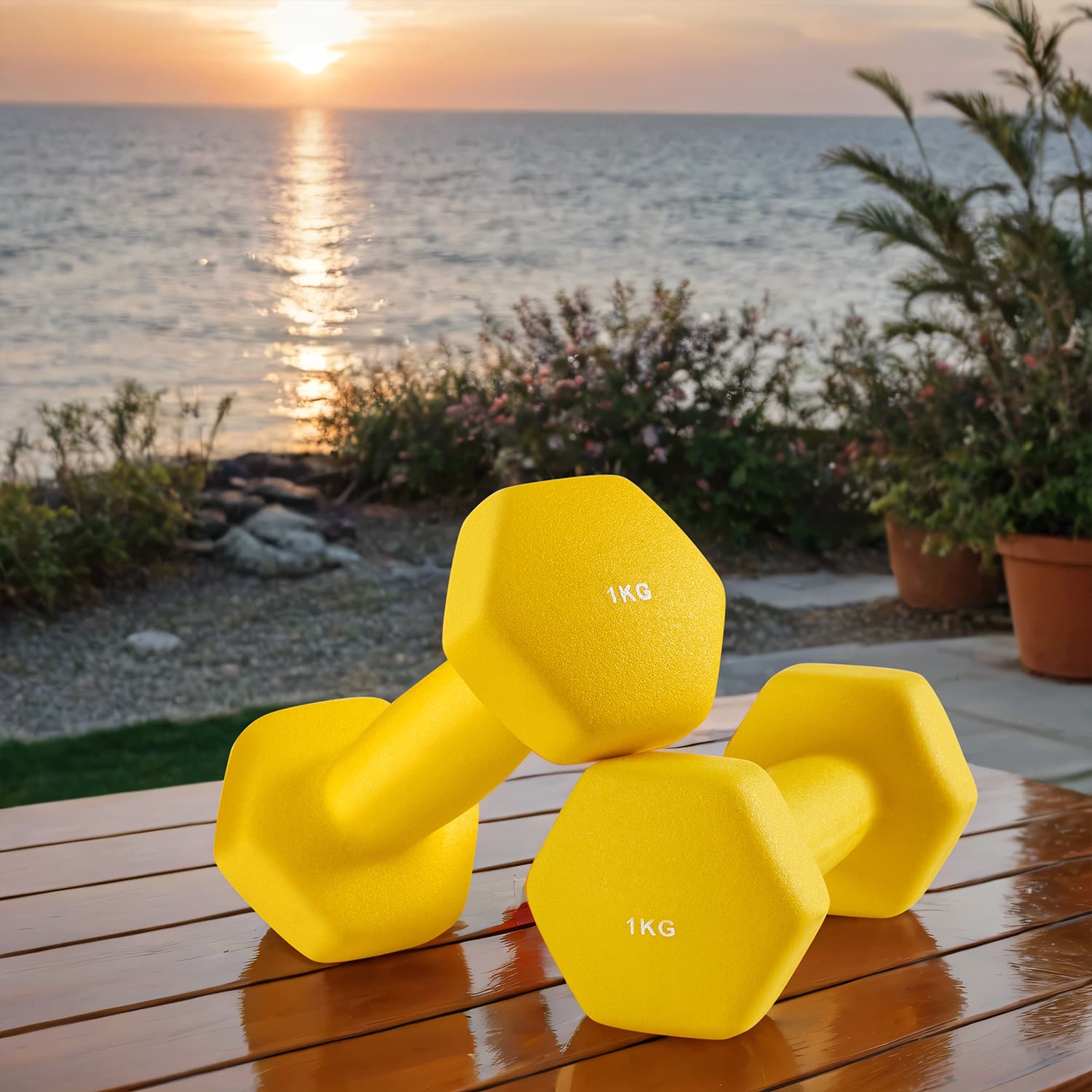 Set of 2 Neoprene Hex Dumbbells, 2 x 1 kg, with Dumbbells Bars Set of 2 Neoprene Hex Dumbbells, 2 x 1 kg, with Dumbbells Bars