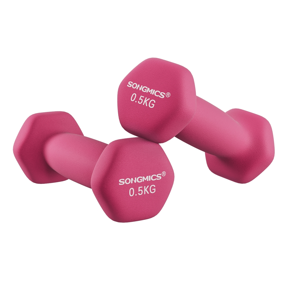 Double Pink Women Dumbbells