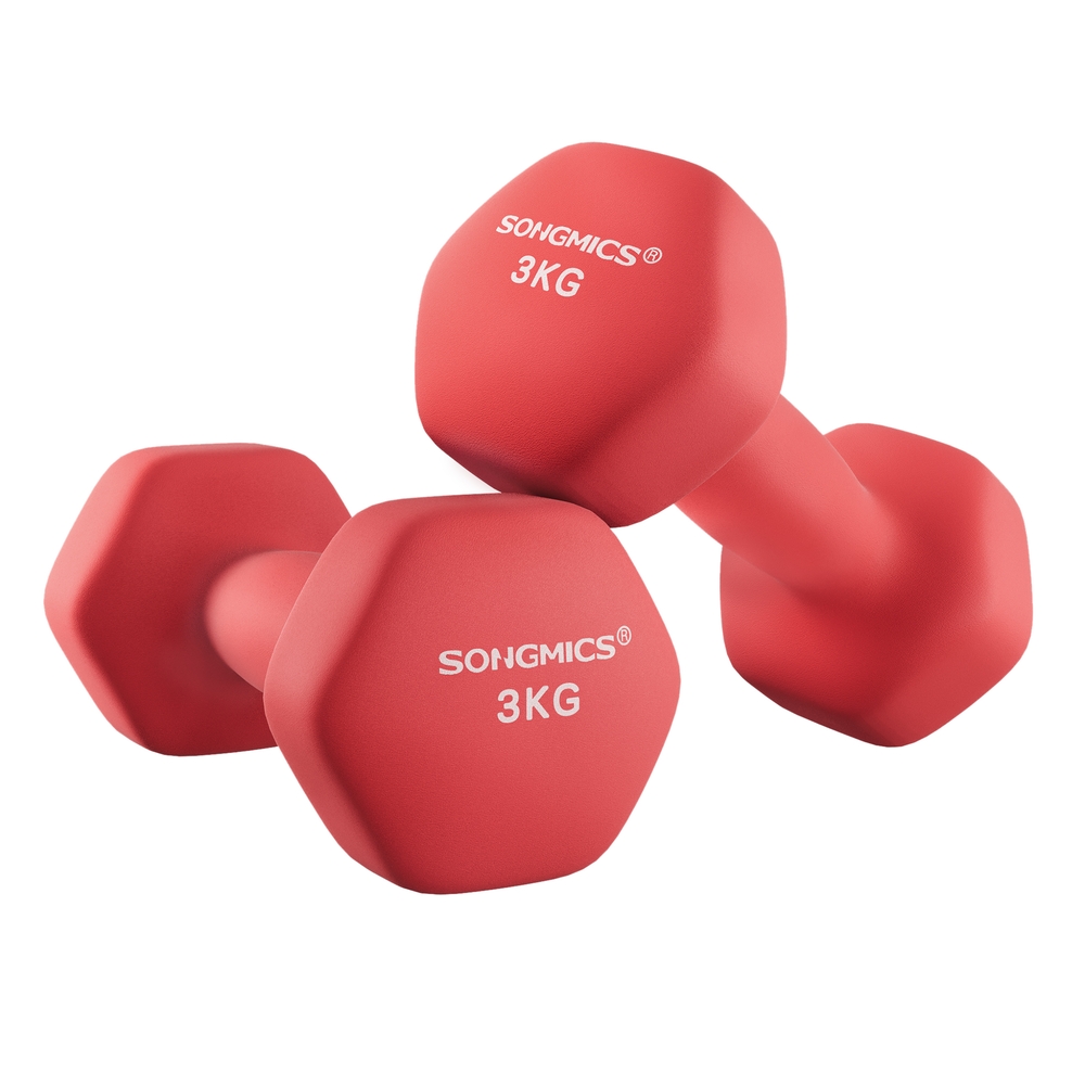 Set of 2 Dumbbells