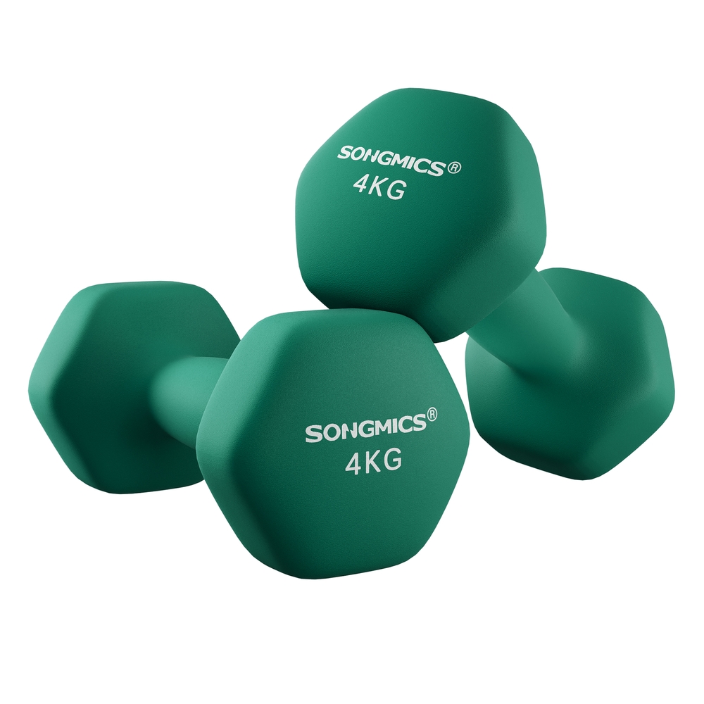 Set of 2 Dumbbells Weights