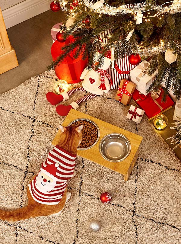 2021-xmas-pomos.html-WAP-Advert with 3 Pictures-Pets-PRB01N-M.jpg